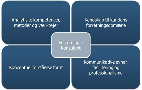 Forretningskonsulent, Digitaliseringskonsulent